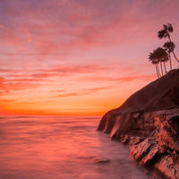 Cali Sorbet - BEND