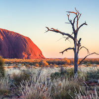 Uluru Shadows - BEND