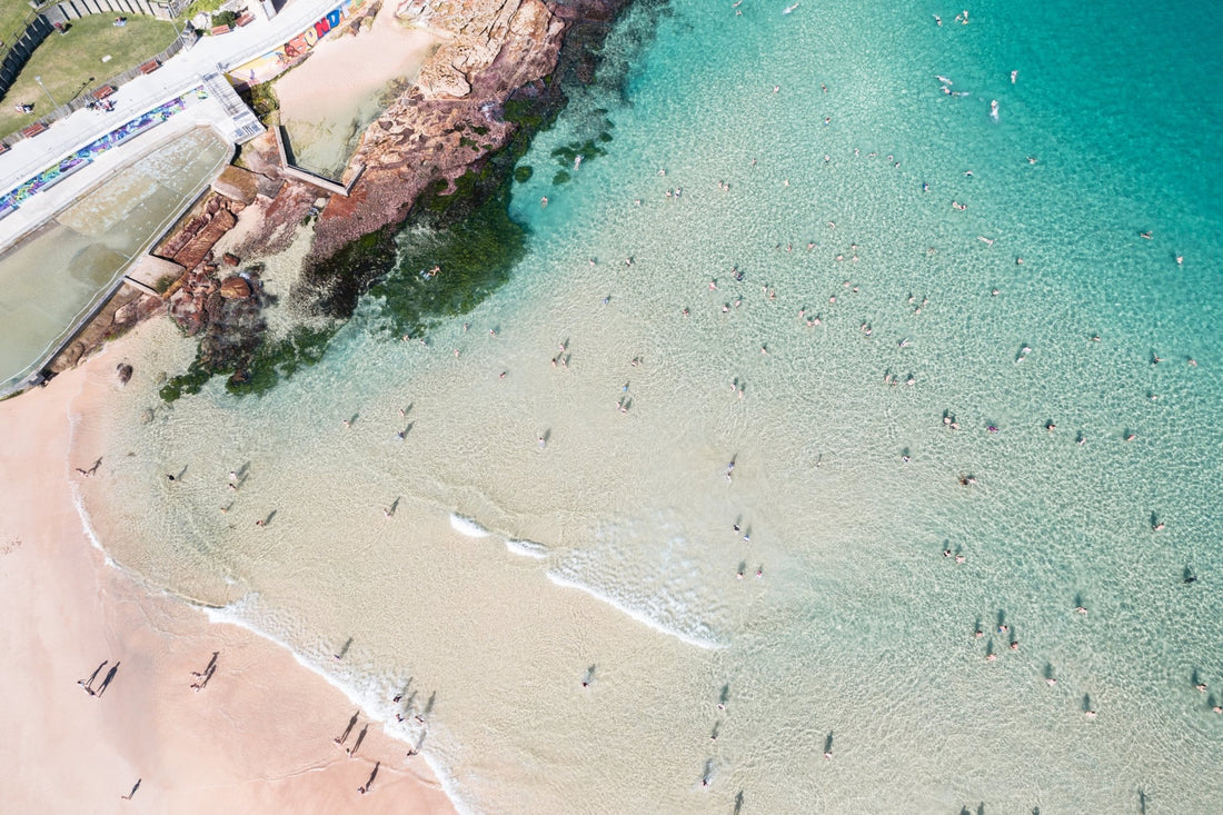 Bondi Haven - BEND