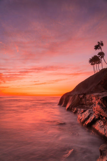 Cali Sorbet - BEND