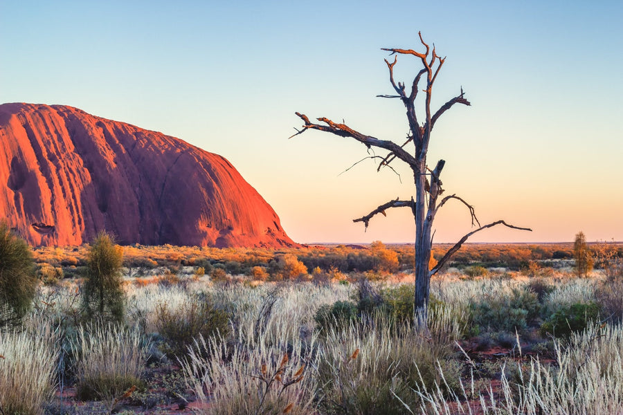 Uluru Shadows - BEND