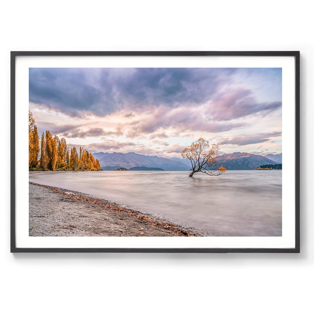 Wanaka Willow - BEND