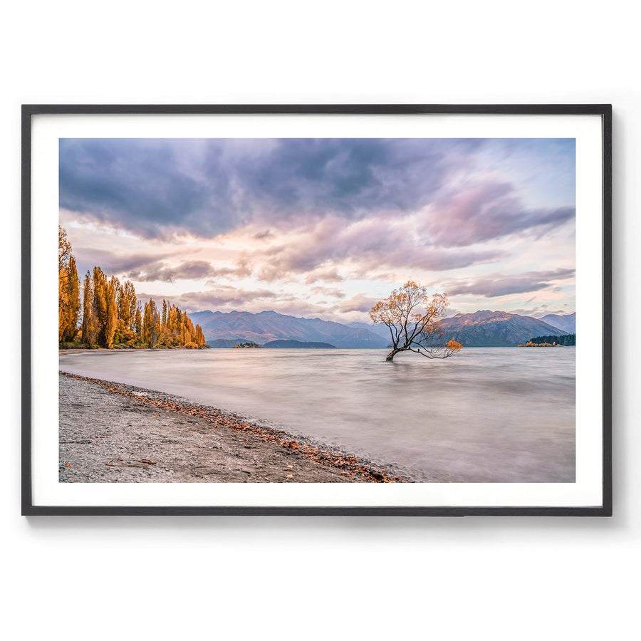 Wanaka Willow - BEND