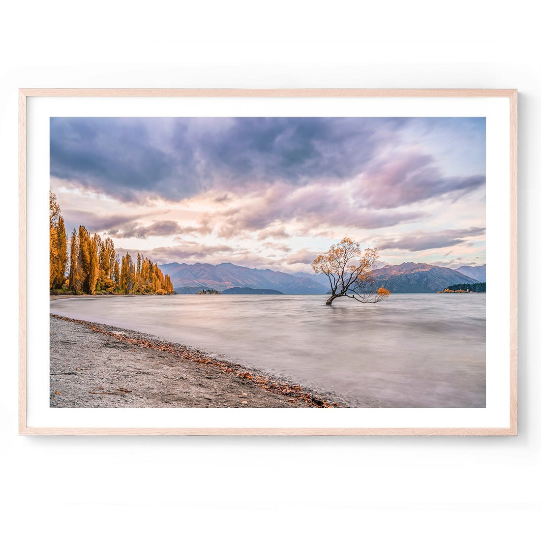 Wanaka Willow - BEND